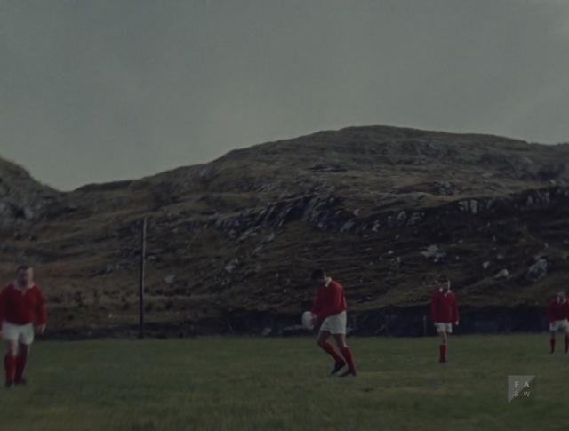 Video Reference: Player, Sport venue, Team sport, Football player, Stadium, Football, Tournament, Fell, Sports equipment, Sports