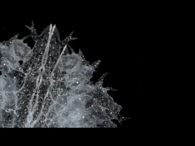 Video Reference: water, black, nature, black and white, photograph, monochrome photography, darkness, photography, sky, atmosphere