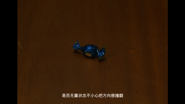 Video Reference: Turtle, Sea turtle, Screenshot, Space, Games