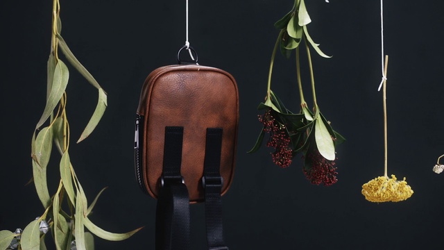 Video Reference: Plant, Nepenthes, Branch, Still life photography, Flower, Earrings