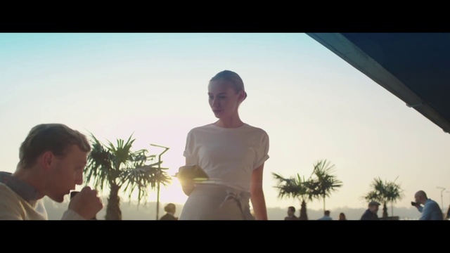 Video Reference: Photograph, Vacation, Palm tree, Tree, Fun, Snapshot, Arecales, Tourism, Summer, Sunlight