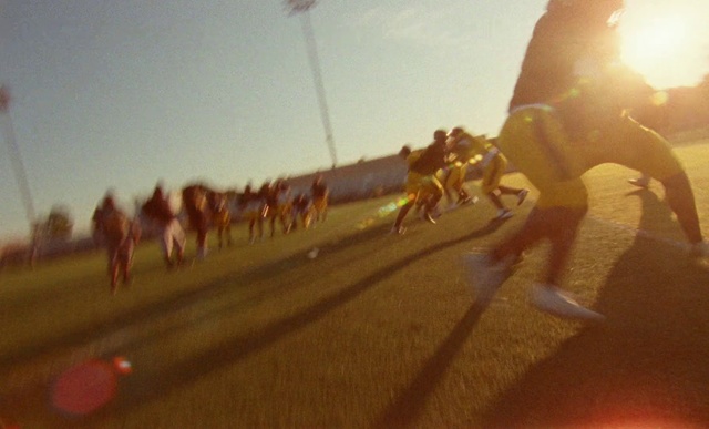Video Reference: Camel, Morning, Landscape, Photography, Sunlight, Camelid, Road