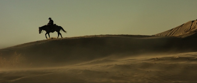 Video Reference: sky, sand, morning, horse like mammal, landscape, ecoregion, desert, cloud, horse, aeolian landform