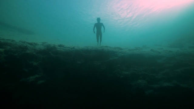 Video Reference: underwater, sea, underwater diving, water, freediving, ocean, scuba diving, marine biology, aquanaut, diving, Person