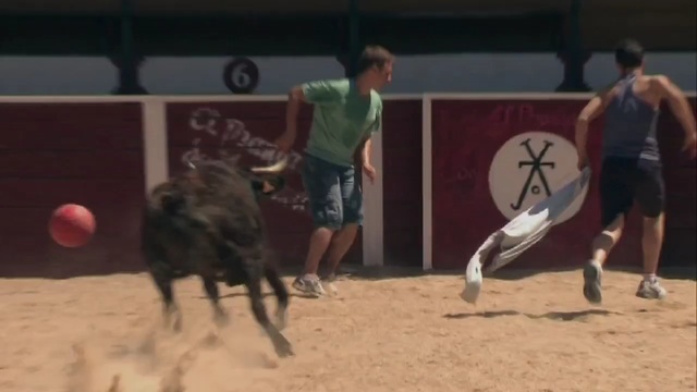 Video Reference: cowboy, trainer, bull, Person