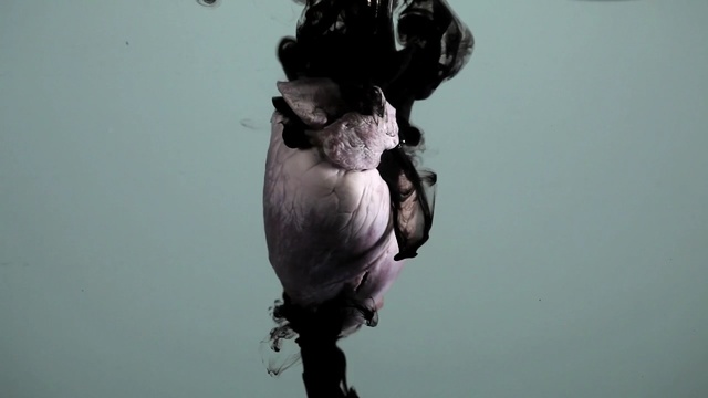 Video Reference: sky