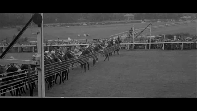 Video Reference: Pier, Monochrome photography, Black-and-white, Horse racing, Photography, Monochrome, Horse, Boardwalk, Nonbuilding structure, Animal sports