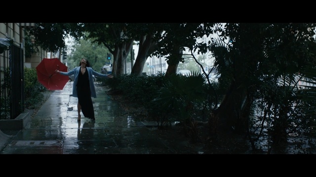 Video Reference: Nature, Black, Natural environment, Tree, Darkness, Water, Photography, Reflection, Sky, Atmosphere