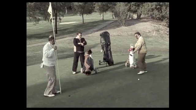 Video Reference: Photograph, Snapshot, Standing, Fun, Photography, Walking, Tree, Black-and-white, Photo caption, Recreation