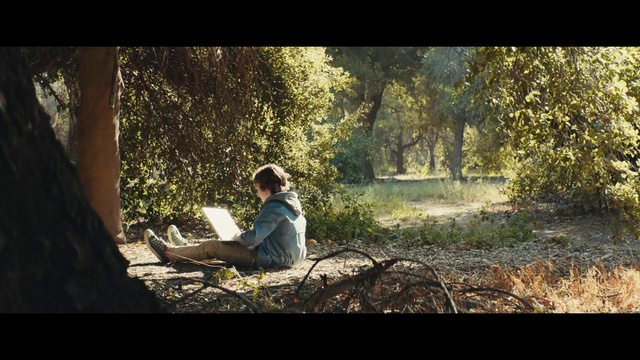 Video Reference: Nature, Natural environment, Forest, Woodland, Tree, Sitting, Adaptation, Sunlight, Photography, Branch