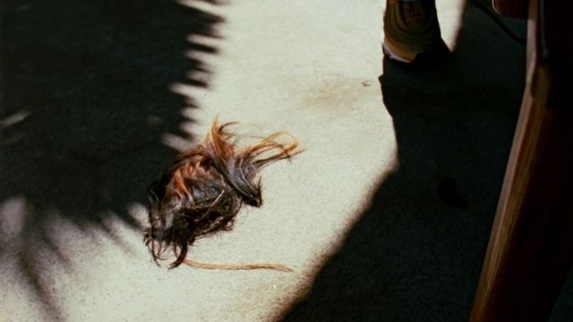 Video Reference: Road surface, Wood, Asphalt, Tints and shades, Flooring, Sidewalk, Tail, Human leg, Pest, Foot