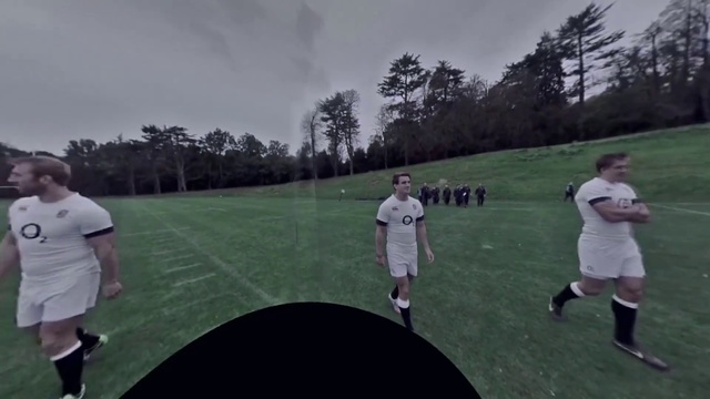 Video Reference: Player, Football player, Grass, Ball, Competition event, Sport venue, Football, Team sport, Sports equipment, Games