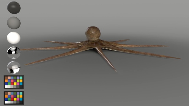 Video Reference: Insect, Pest, Invertebrate, Organism, Dragonflies and damseflies