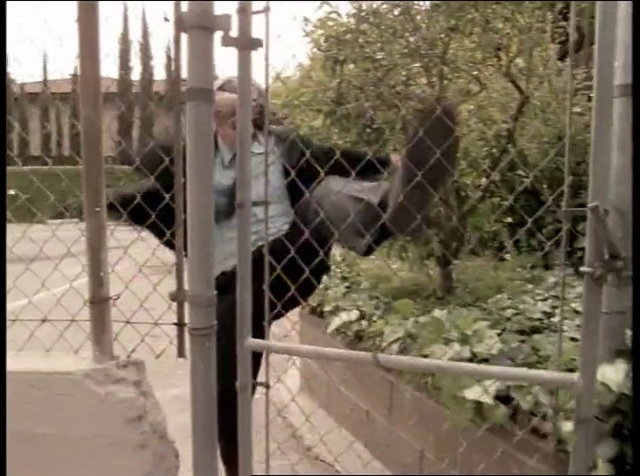 Video Reference: Zoo, Iron, Animal shelter, Tree, Recreation, Fence, Metal