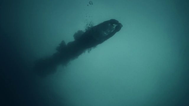 Video Reference: Underwater, Marine biology, Water, Turquoise, Organism, Underwater diving, Sea, Recreation, Scuba diving