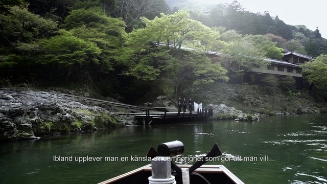 Video Reference: Water resources, Nature, Water, Natural landscape, River, Vegetation, Nature reserve, Waterway, Natural environment, Wilderness