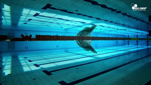 Video Reference: Blue, Swimming pool, Swimming, Leisure centre, Recreation, Turquoise, Water, Swimmer, Individual sports, Leisure