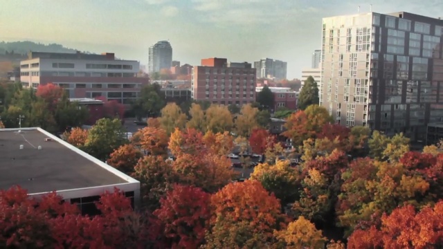 Video Reference: city, urban area, residential area, suburb, metropolitan area, leaf, skyline, neighbourhood, town, cityscape, Person