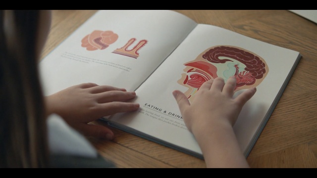 Video Reference: envelope, container, hand, paper, business