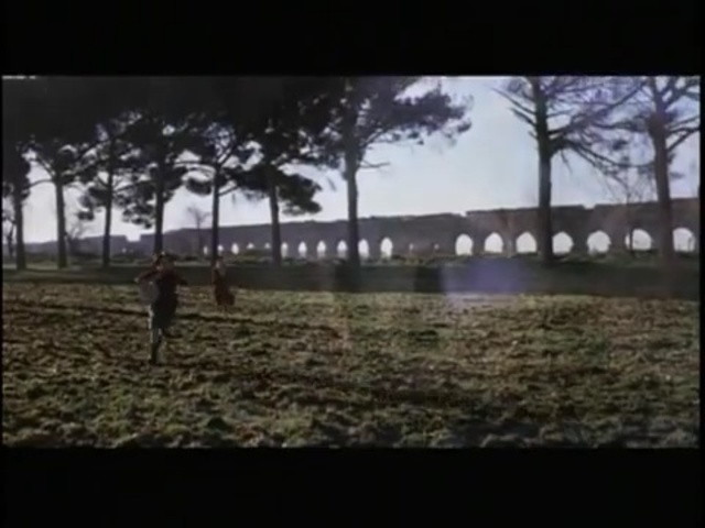 Video Reference: Nature, Photograph, Tree, Natural environment, Morning, Grass, Atmospheric phenomenon, Wall, Snapshot, Land lot