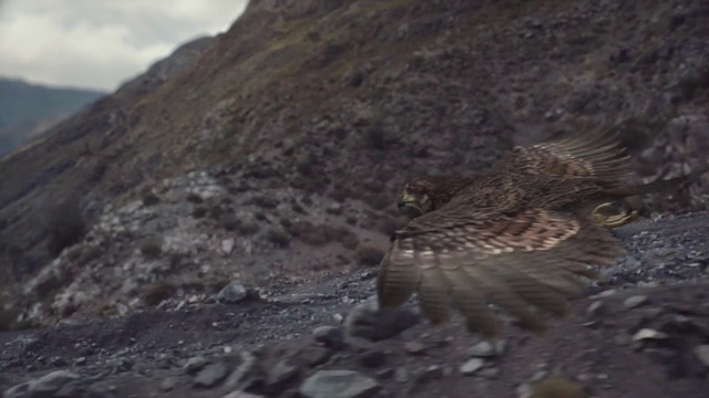 Video Reference: Geological phenomenon, Highland, Rock, Landscape, Soil, Wildlife, Fell, Mountain, Terrain