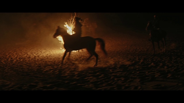 Video Reference: Horse, Darkness, Light, Atmospheric phenomenon, Sky, Mane, Wildlife, Mustang horse, Atmosphere, Heat