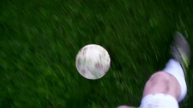 Video Reference: Green, Grass, Ball, Plant, Sphere, Lawn, Person