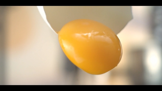 Video Reference: Egg yolk, Yellow, Egg, Close-up, Food, Egg, Fruit, Egg white, Plant, Nightshade family