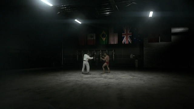 Video Reference: black, darkness, stage, light, choreography, entertainment, performance art, night, performance, modern dance