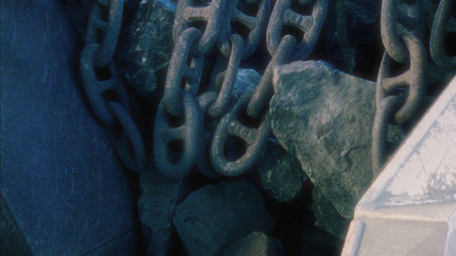 Video Reference: Blue, Turquoise, Teal, Water, Organism, Electric blue, Photography, Art, Pattern, Space