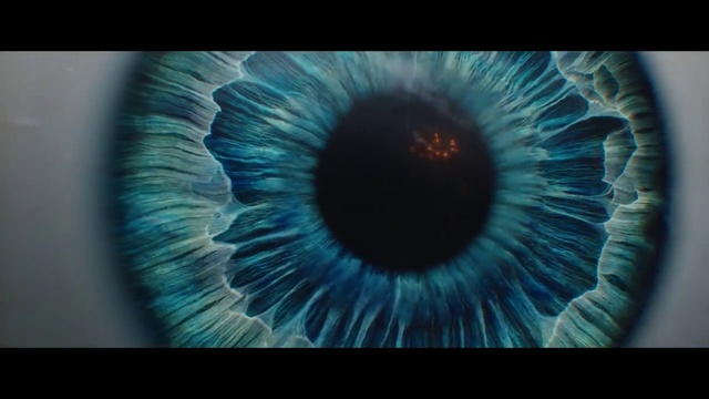 Video Reference: Iris, Eye, Close-up, Blue, Organ, Turquoise, Macro photography, Organism, Fractal art, Photography