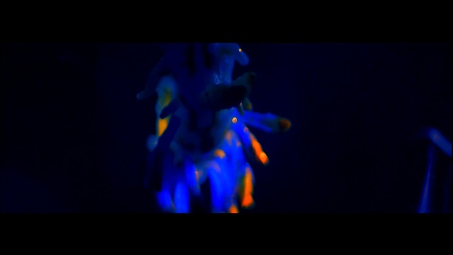 Video Reference: blue, black, darkness, event, light, entertainment, performance, performing arts, performance art, stage