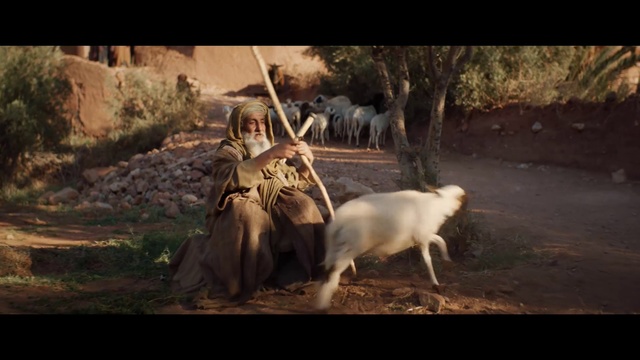 Video Reference: Goats, Adaptation, Wildlife, Goat, Screenshot, Mythology