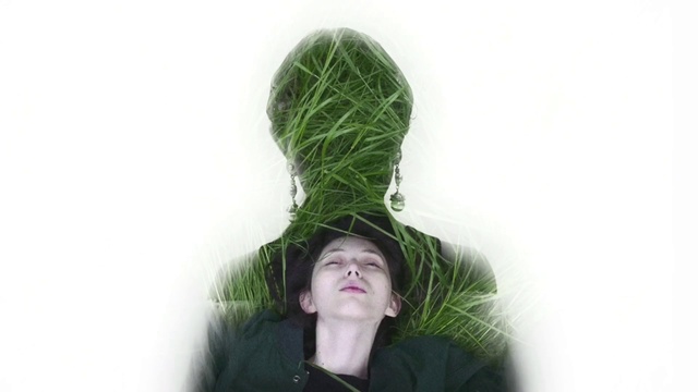 Video Reference: Green, Head, Grass, Plant, Neck