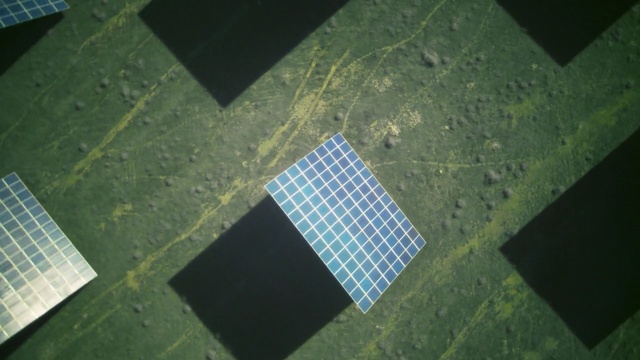 Video Reference: green, biome, line, space, daylighting, angle, pattern, square