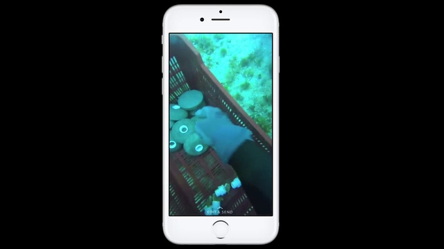 Video Reference: Mobile phone, Communication Device, Gadget, Portable communications device, Smartphone, Iphone, Turquoise, Feature phone, Electronic device, Technology