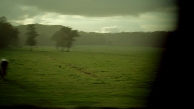 Video Reference: green, sky, grassland, atmosphere, nature, ecosystem, pasture, field, grass, plain