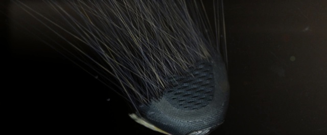 Video Reference: close up, macro photography, darkness, computer wallpaper