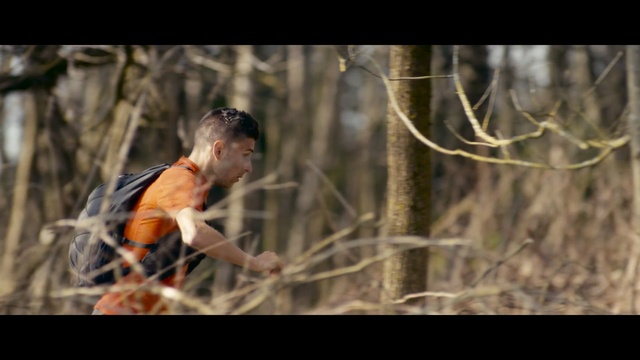 Video Reference: tree, plant, grass, forest, wildlife, grass family, branch, screenshot, Person