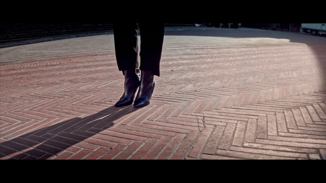 Video Reference: Shadow, Footwear, Floor, Leg, Shoe, Flooring, Human leg, Wood, Road surface, Cobblestone