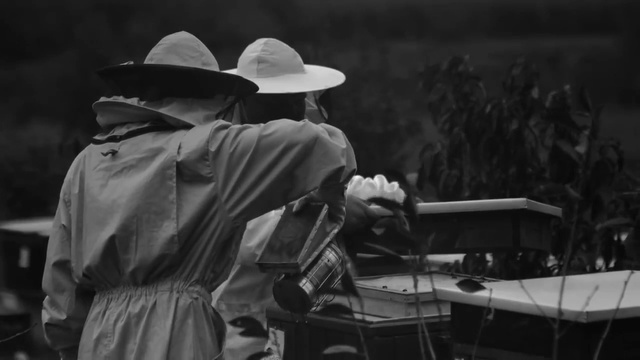 Video Reference: Black-and-white, Monochrome photography, Monochrome, Headgear, Photography, Hat, Musician, Music, Cowboy hat, Style