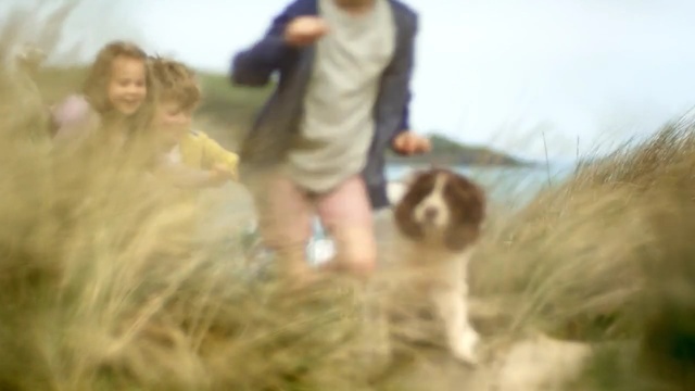 Video Reference: grass, grass family, girl, prairie, grassland, hay, fun, ecoregion, field, Person