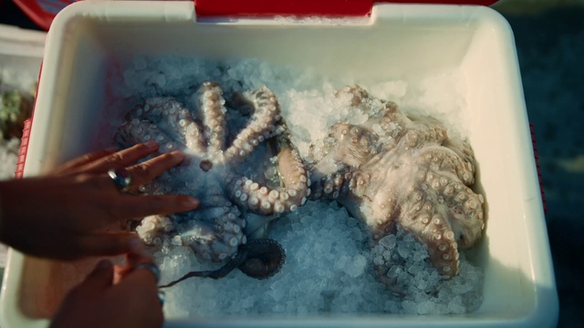 Video Reference: Water, Organism, Food, Recipe, Marine invertebrates, Cuisine, Ingredient, Starfish, Gesture, Dish