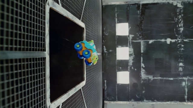 Video Reference: Net, Cage, Wall, Parakeet, Budgie, Architecture, Mesh, Parrot, Glass, Animal shelter