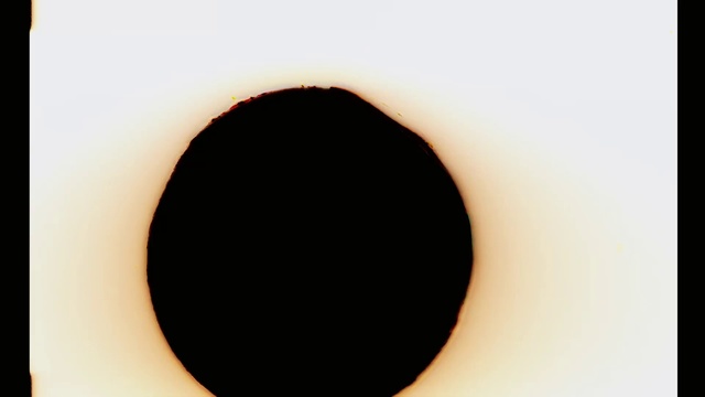 Video Reference: Black, Circle, Beige