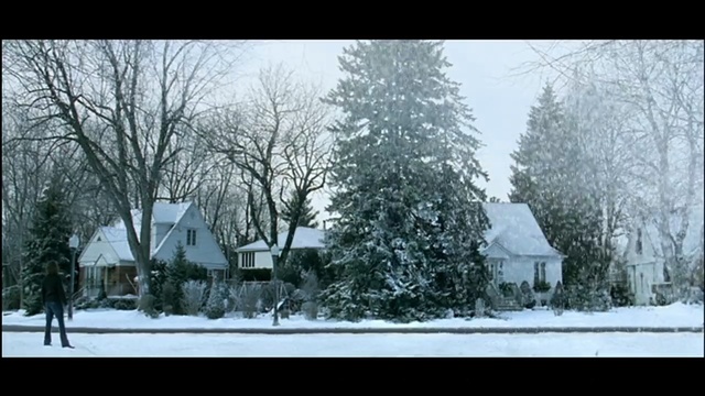Video Reference: snow, winter, home, residential area, tree, house, freezing, frost, suburb, neighbourhood
