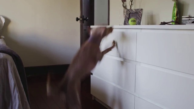 Video Reference: Tile, Room, Wall, Floor, Flooring, Hardwood, Cabinetry, Door handle, Furniture