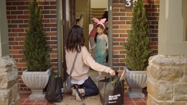 Video Reference: cleaner, Person