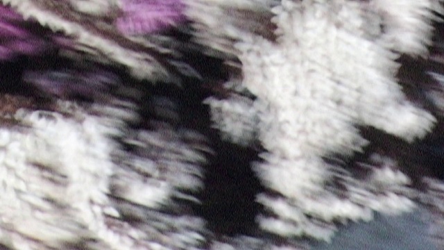 Video Reference: Fur, Textile, Pattern, Wool, Art