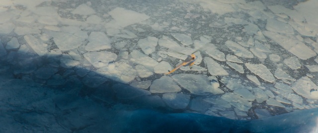 Video Reference: Blue, Reflection, Water, Atmospheric phenomenon, Sky, Geological phenomenon, Ice, Atmosphere, Ocean, Arctic, Outdoor, Snow, Plane, Large, Airplane, Covered, Bird, Mountain, Flying, Man, Board, Riding, White, Skiing, Standing, Aerial, Nature, Ocean floor